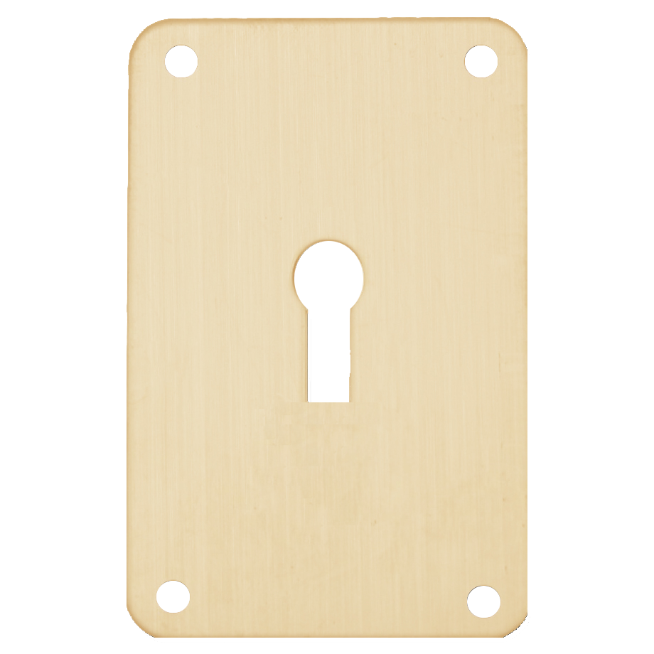 ASEC Screw On 45mm x 70mm UK Mortice Escutcheon