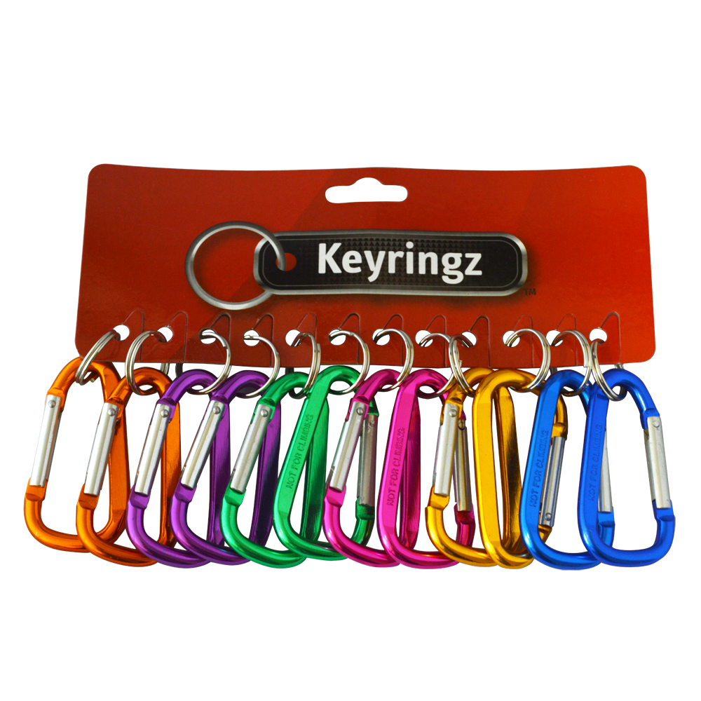 ASEC Metal Carabiner Key Ring