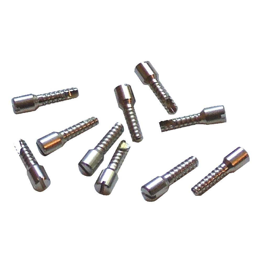 DORMAKABA 44214 Cylinder Retaining Screw To Suit 3000 Series