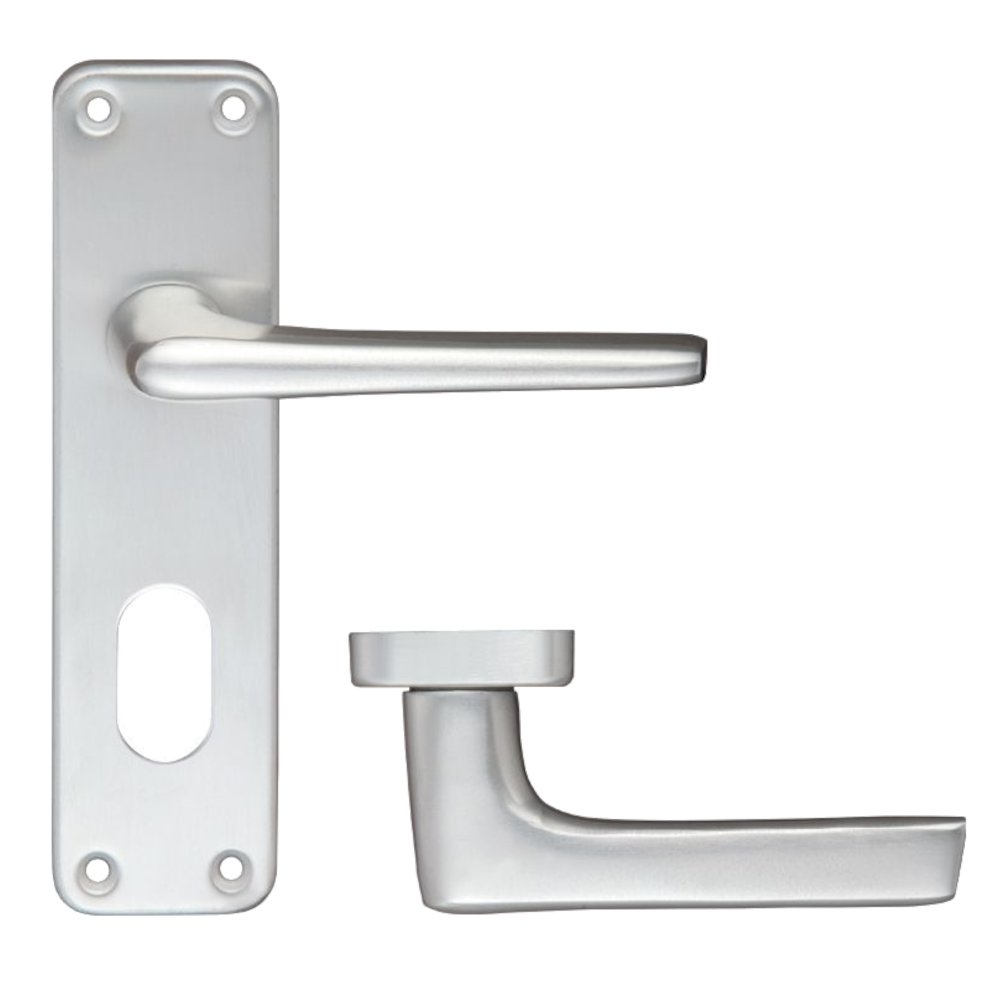 ZOO Lever Handle On Oval Lock Backplate